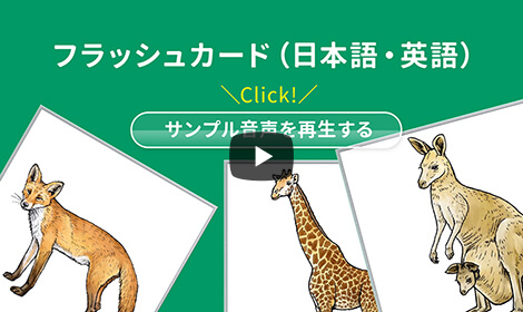 フラッシュカード（日本語・英語）　サンプル音声を再生する