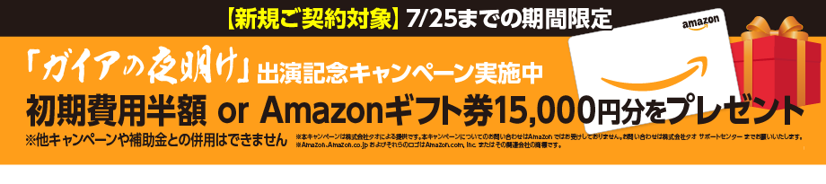 Amazonギフト券3,000円分プレゼントキャンペーン