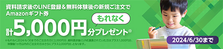 Amazonギフト券3,000円分プレゼントキャンペーン