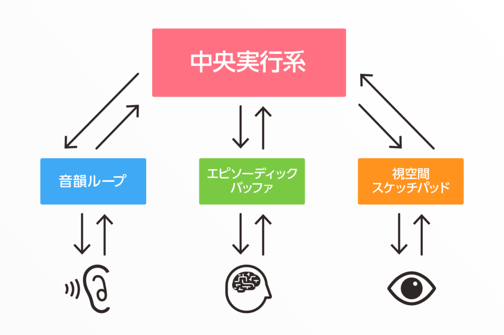 ワーキングメモリーの構成要素