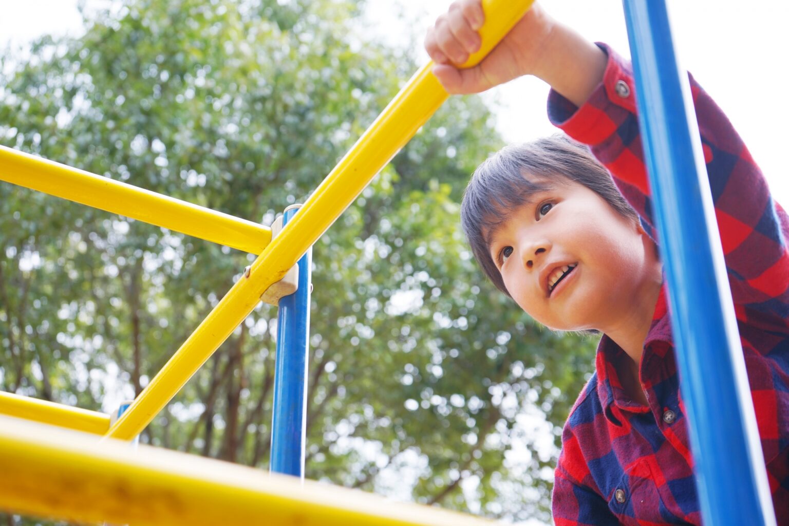 5歳児の発達のポイントと小学校入学に向けて意識しておくべきこと – 天神メディア