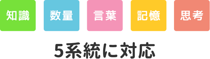 知識・数量・言葉・記憶・思考の5系統に対応