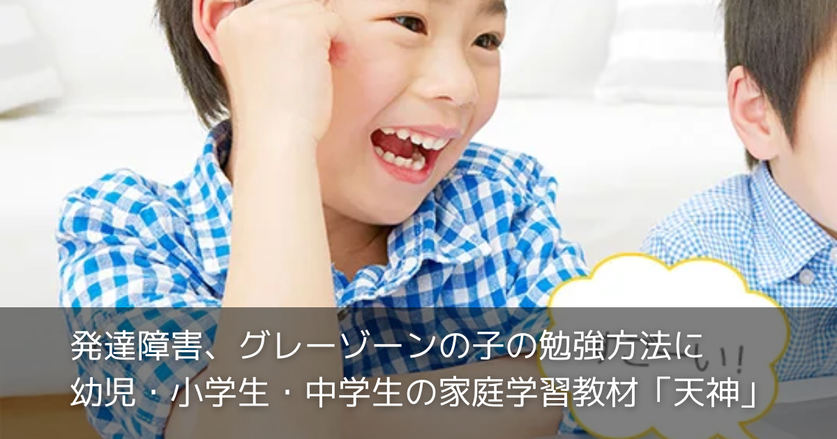 発達障害、グレーゾーンの子の勉強方法に「天神」/幼児・小学生